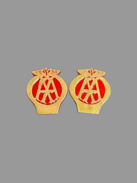 AA Fındık Arma Kırmızı