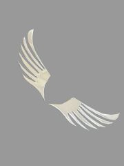 Melek Kanat Alüminyum Araç Aksesuarı