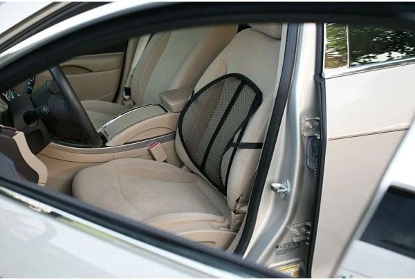 Terletmez Sırtlık File