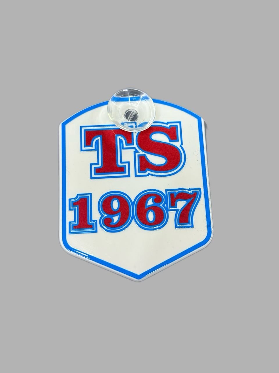 TS 1967 Küçük D Pleksi Arma