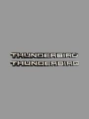 Thunderbird Yazı Döküm Araç Aksesuarı